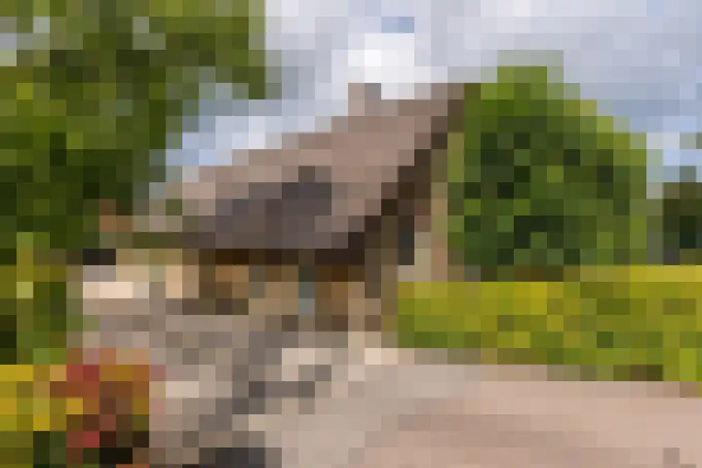 Goejanverwelle 11 Hekendorp thumbnail 4