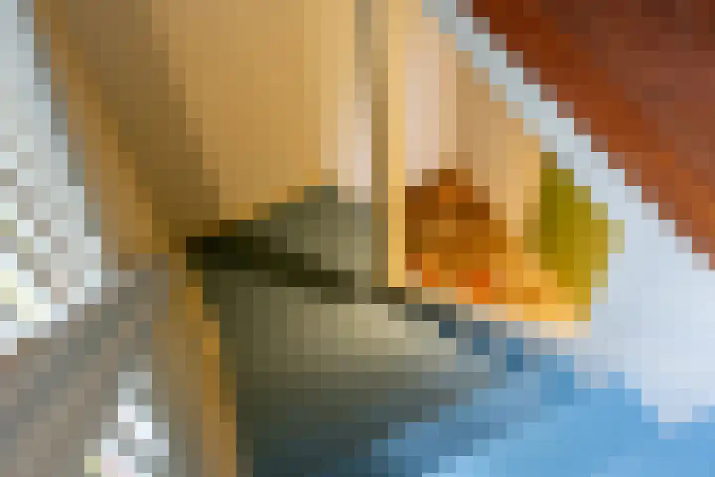 Goejanverwelle 11 Hekendorp thumbnail 42