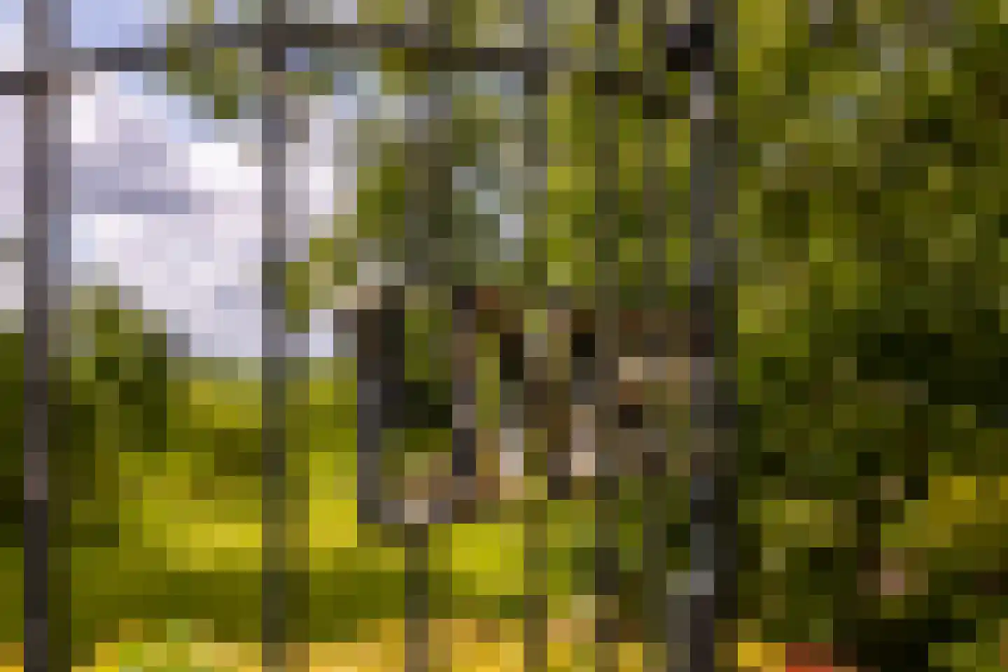 Goejanverwelle 11 Hekendorp thumbnail 5