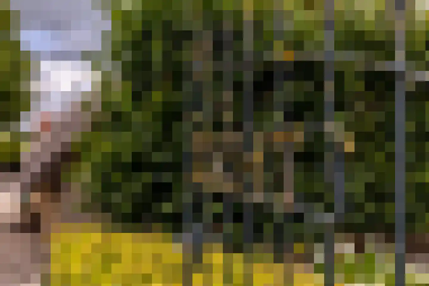 Goejanverwelle 11 Hekendorp thumbnail 6