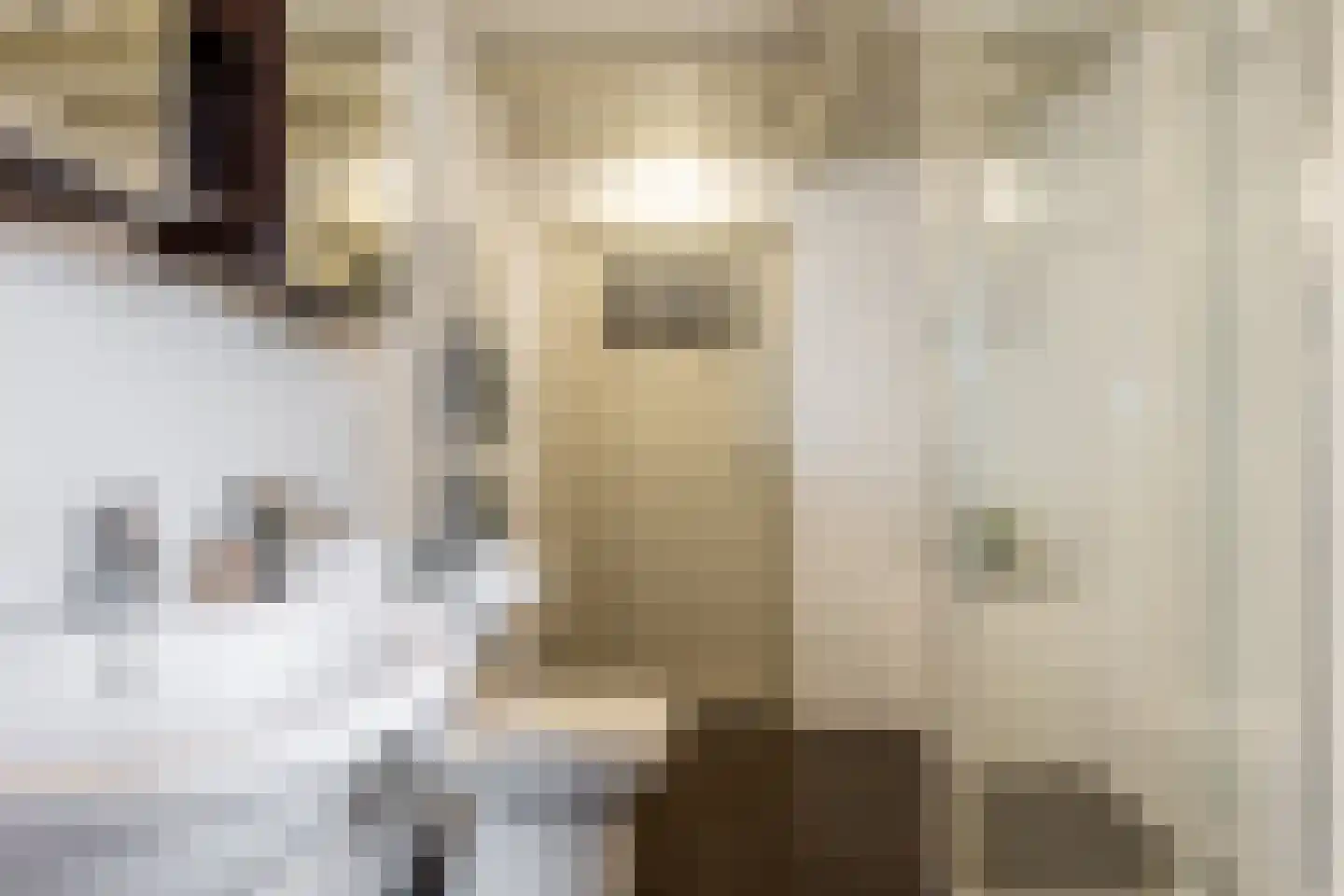 Goejanverwelle 11 Hekendorp thumbnail 61