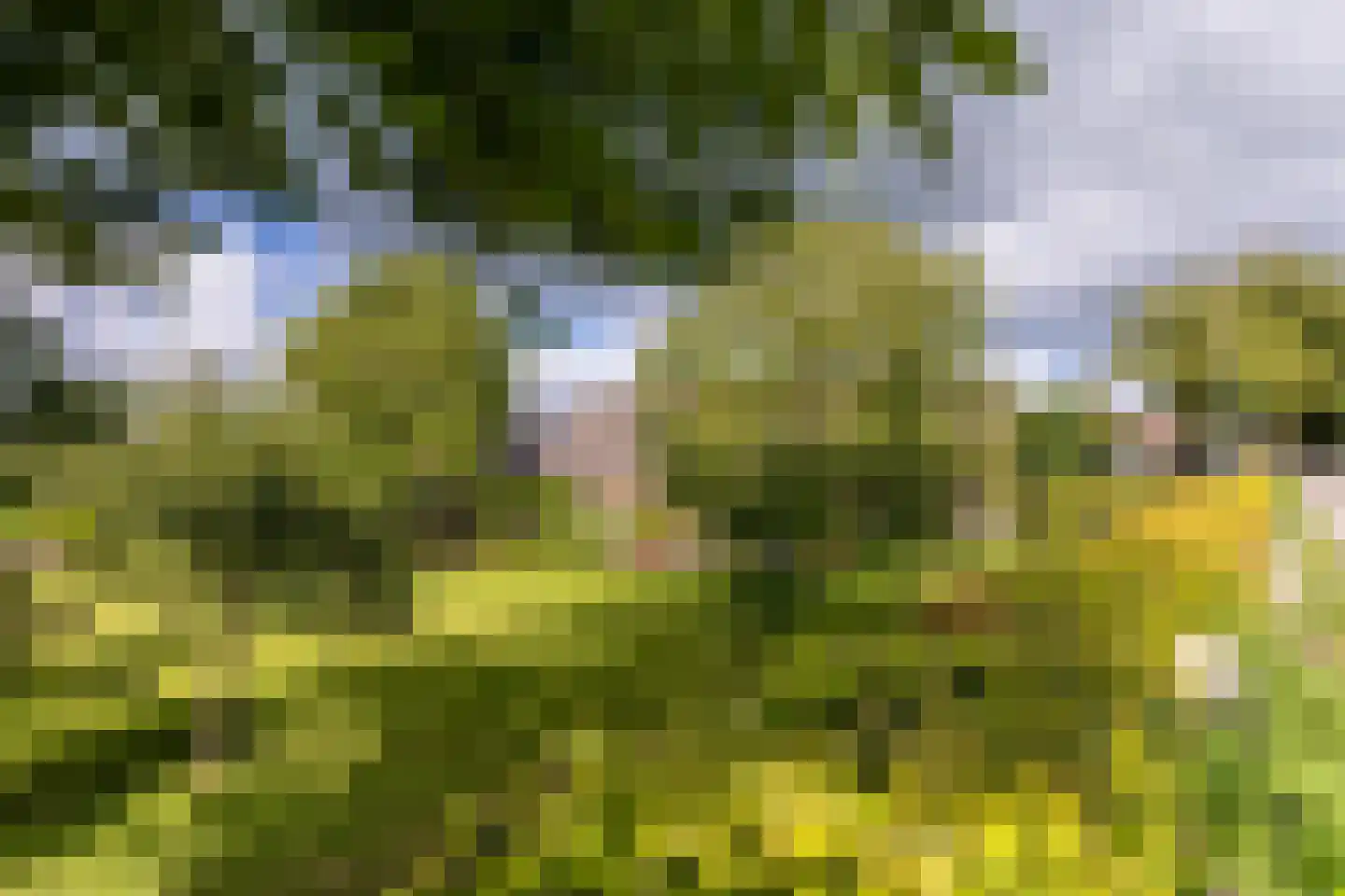Goejanverwelle 11 Hekendorp thumbnail 64