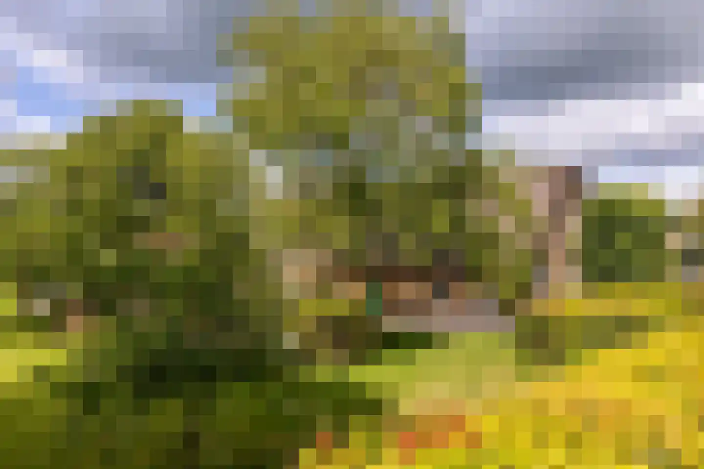 Goejanverwelle 11 Hekendorp thumbnail 65