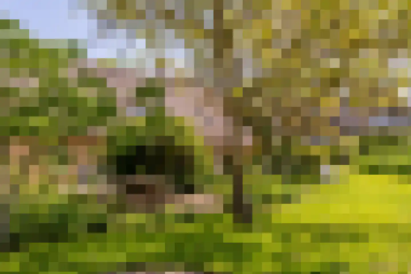 Goejanverwelle 11 Hekendorp thumbnail 66