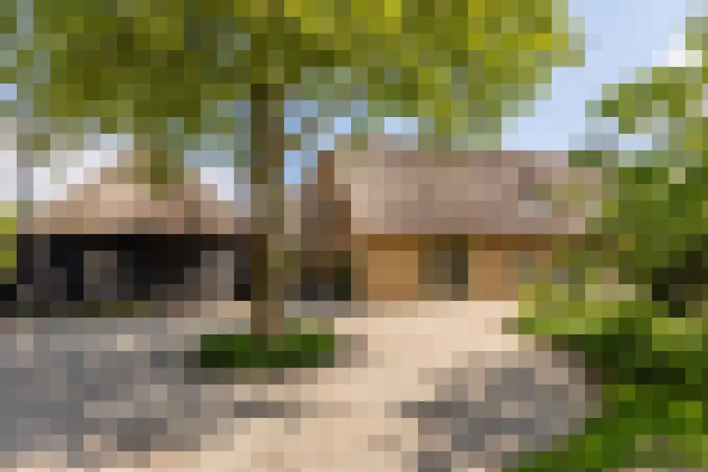 Goejanverwelle 11 Hekendorp thumbnail 68