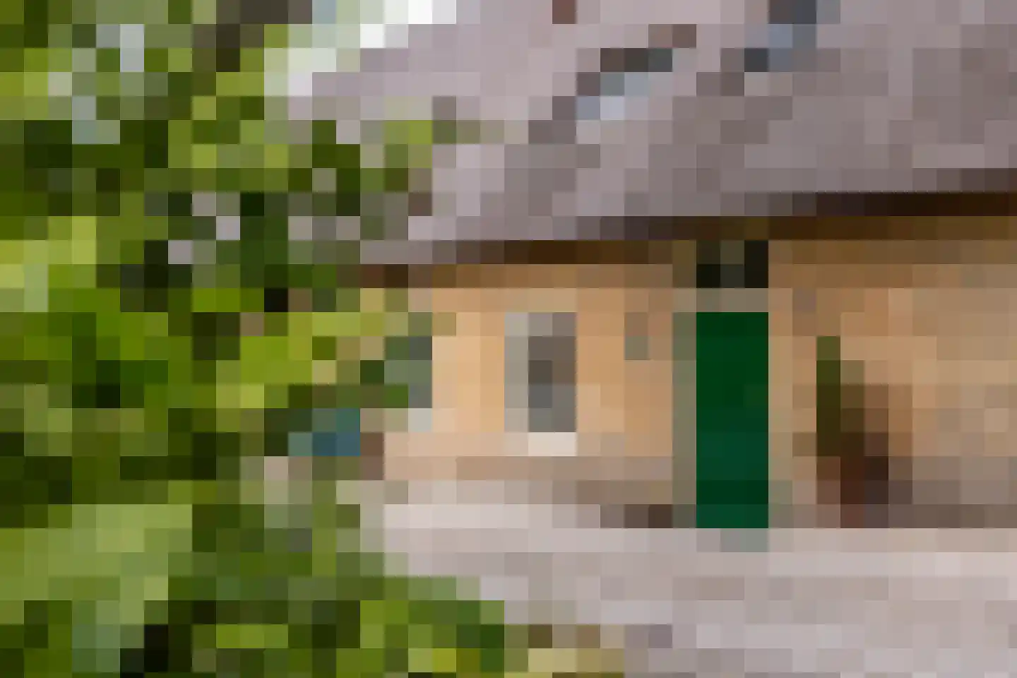 Goejanverwelle 11 Hekendorp thumbnail 7