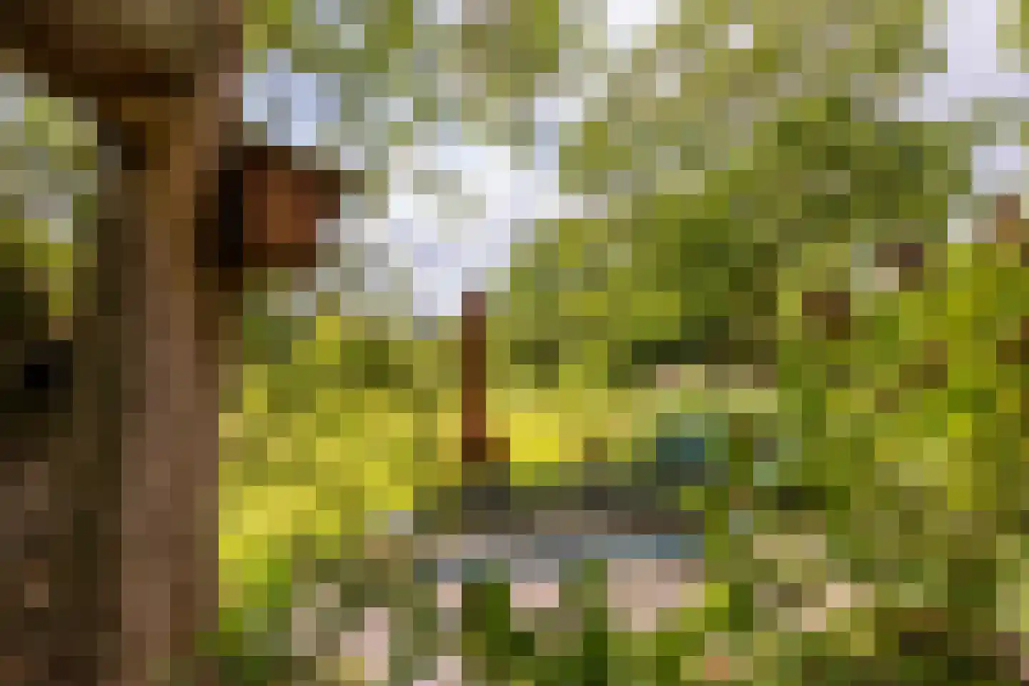 Goejanverwelle 11 Hekendorp thumbnail 73