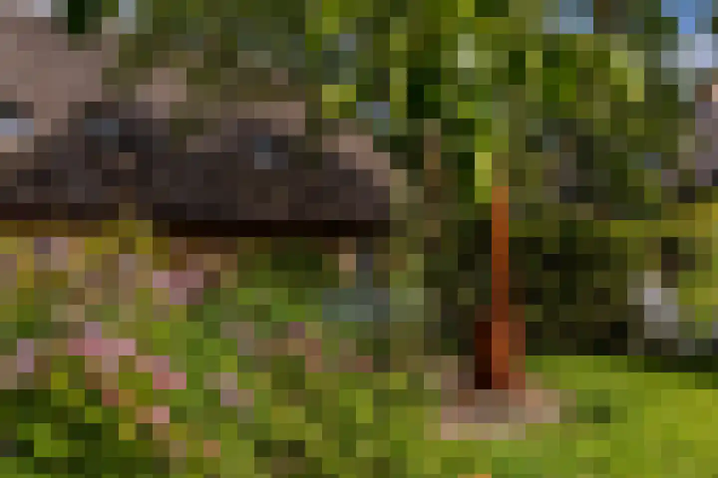 Goejanverwelle 11 Hekendorp thumbnail 74
