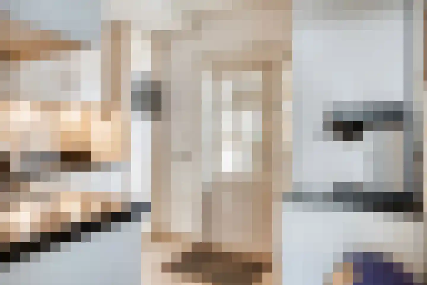 Goejanverwelle 20 Hekendorp thumbnail 11
