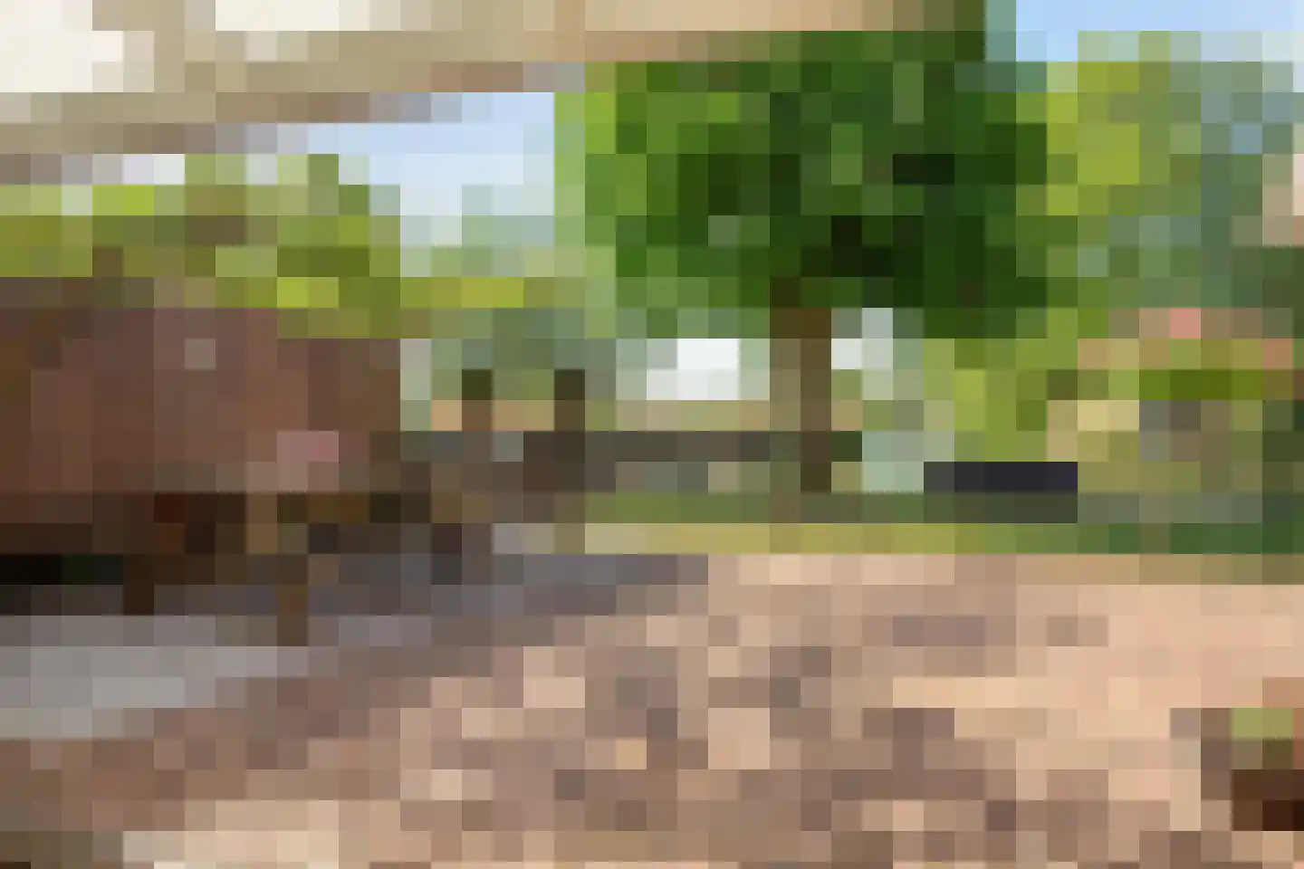 Goejanverwelle 20 Hekendorp thumbnail 27