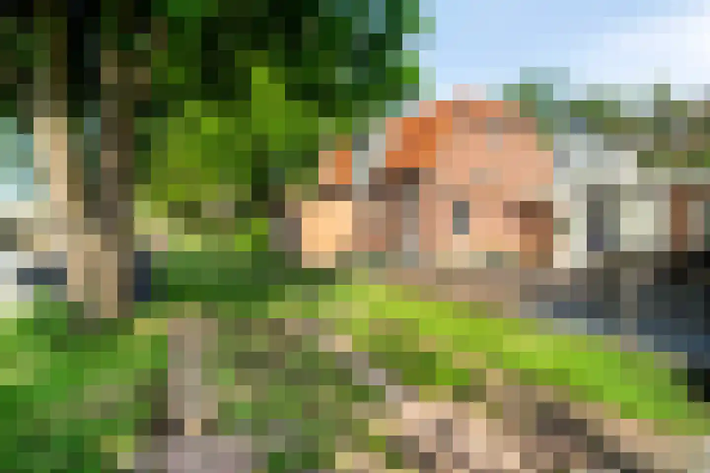 Goejanverwelle 20 Hekendorp thumbnail 30