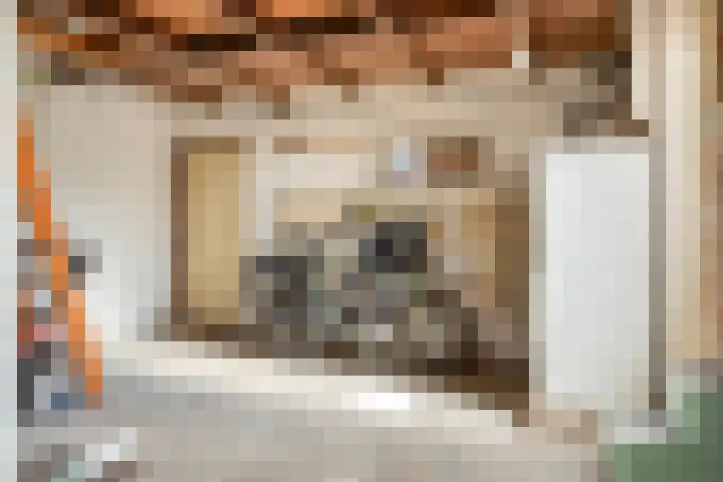 Goejanverwelle 20 Hekendorp thumbnail 35