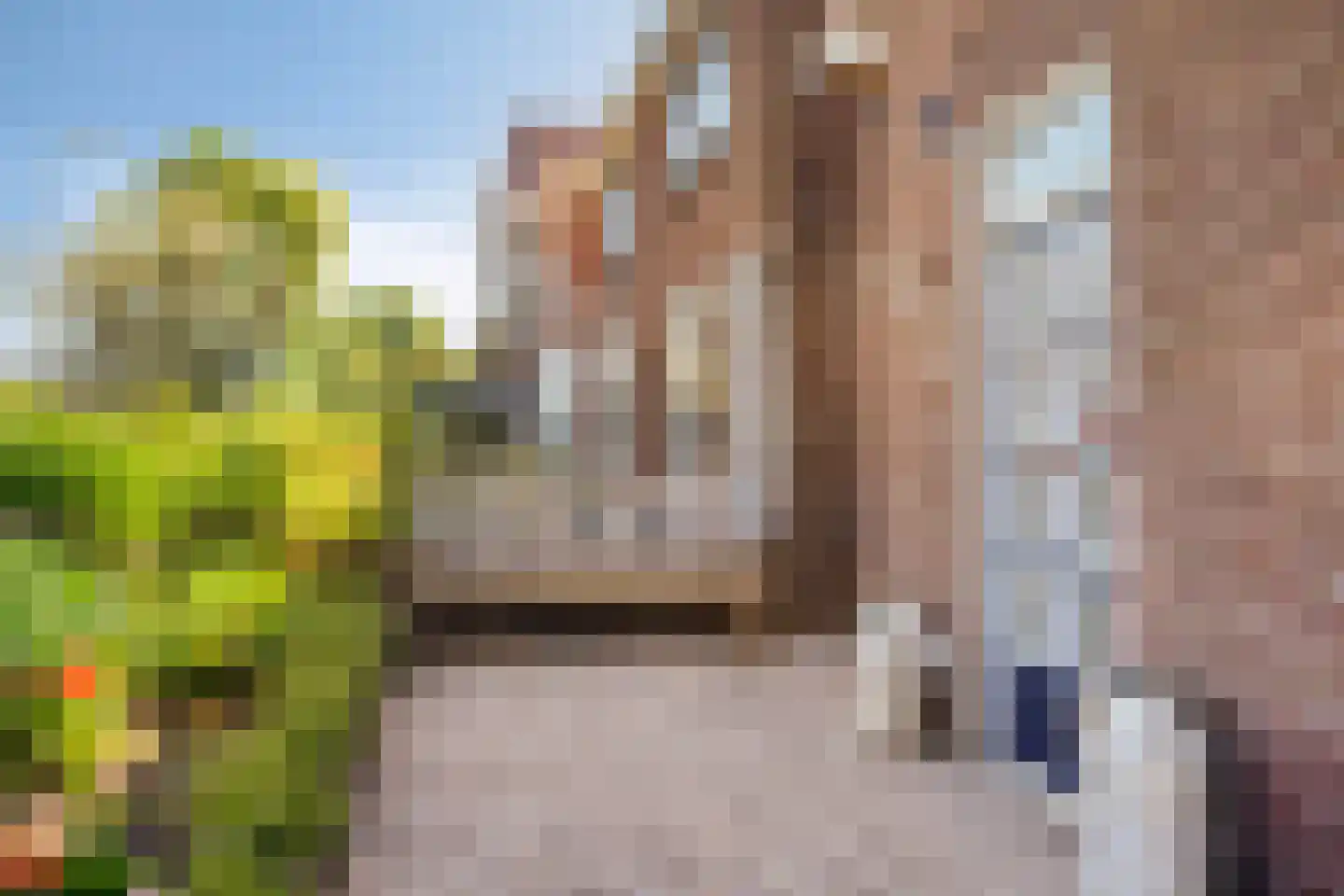 Goejanverwelle 20 Hekendorp thumbnail 39