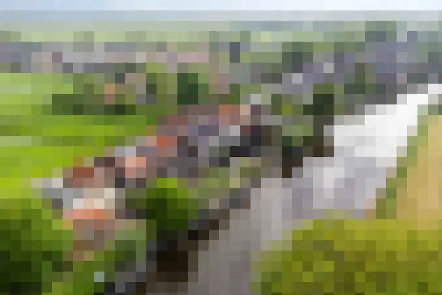 Goejanverwelle 20 Hekendorp thumbnail 41