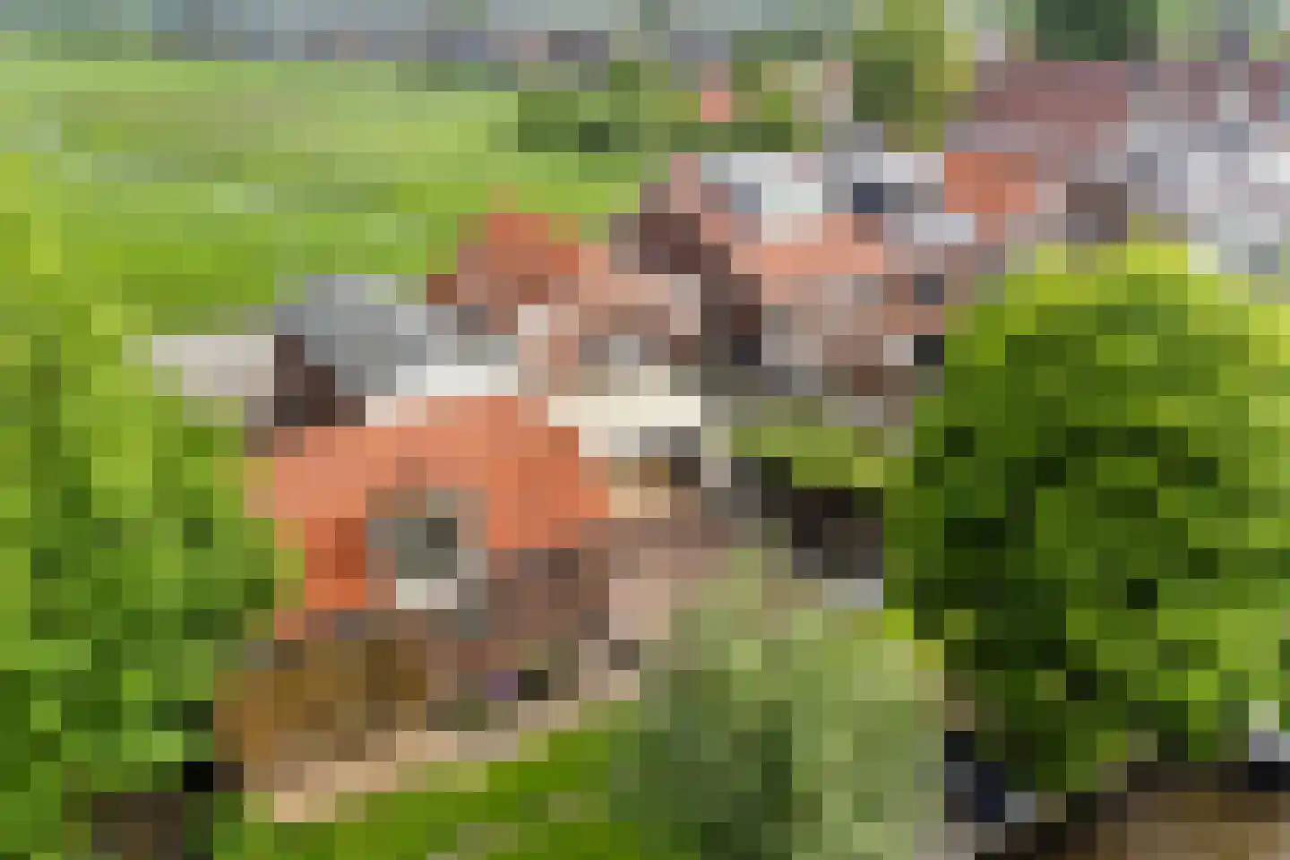 Goejanverwelle 20 Hekendorp thumbnail 43