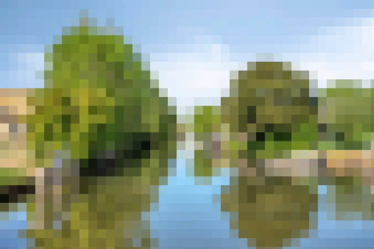 Goejanverwelle 20 Hekendorp thumbnail 46