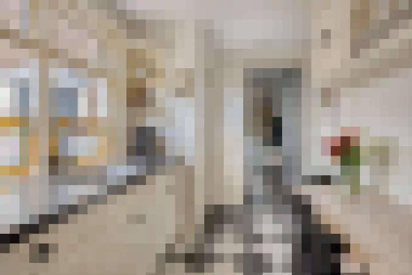 Goejanverwelle 24 Hekendorp thumbnail 11
