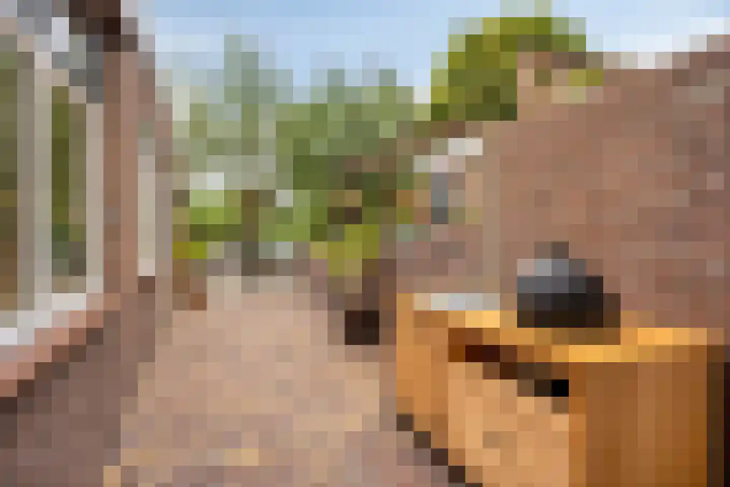 Goejanverwelle 24 Hekendorp thumbnail 18