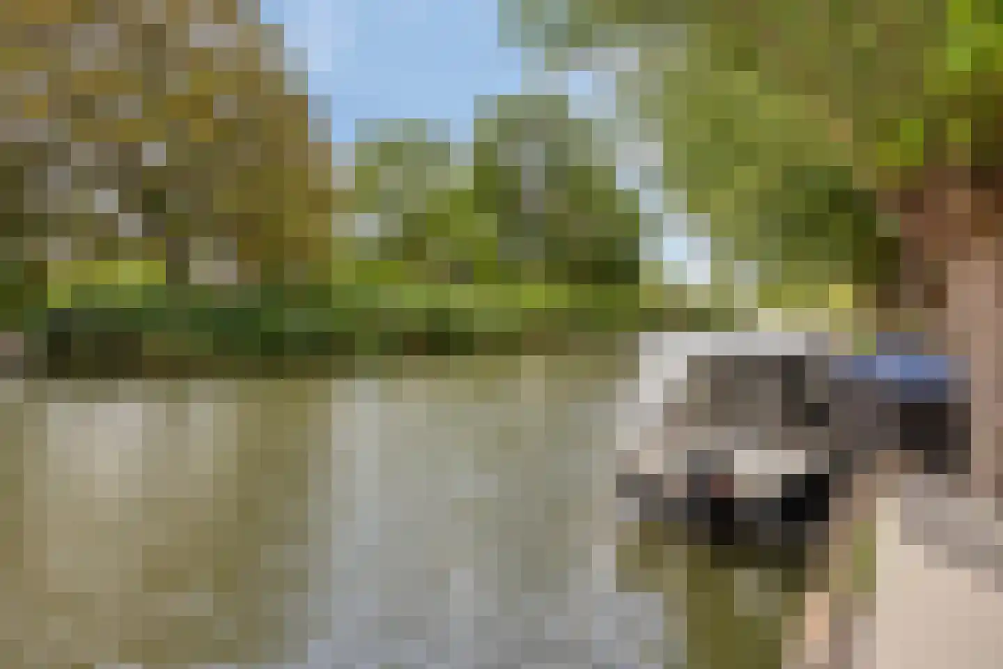 Goejanverwelle 24 Hekendorp thumbnail 20
