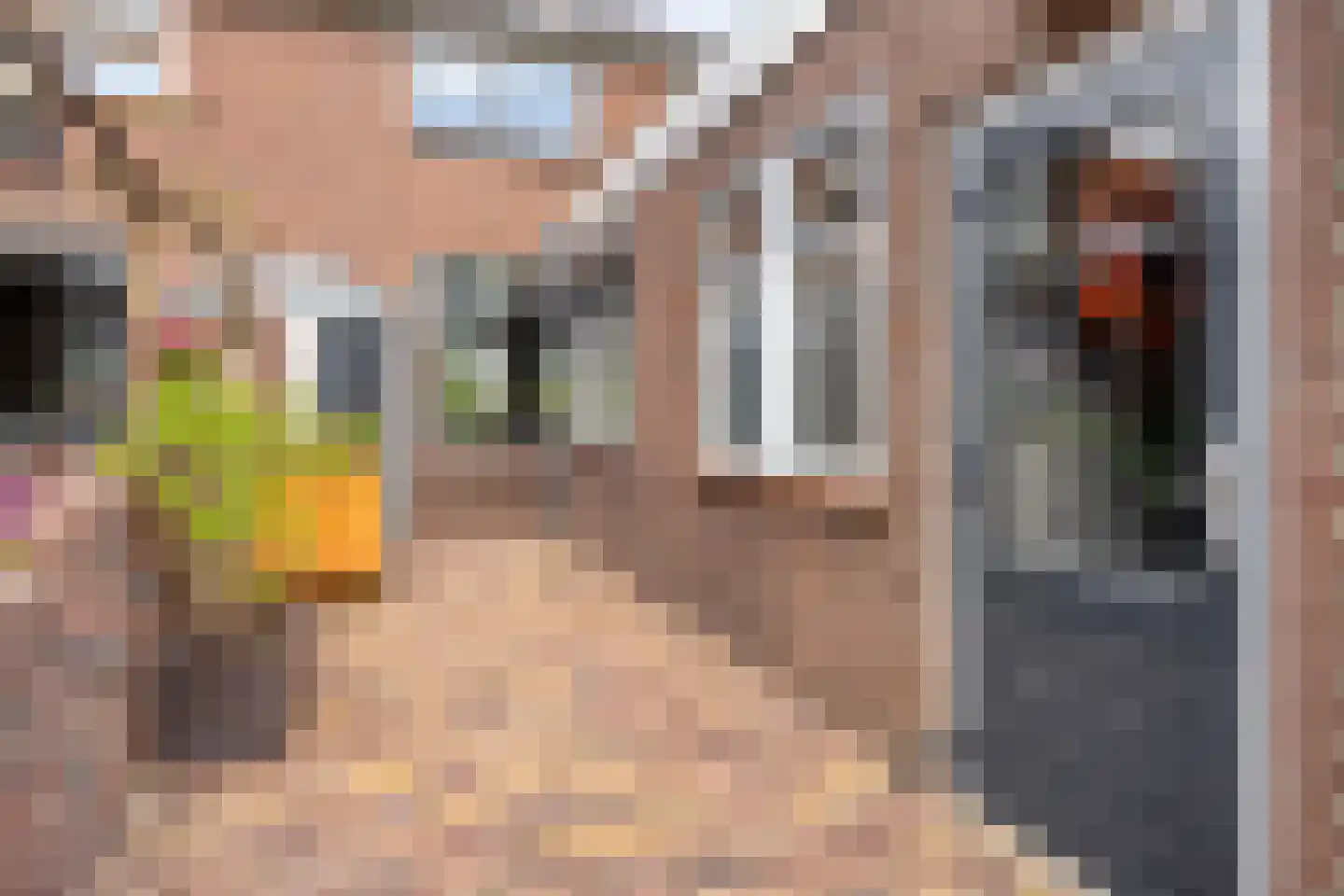 Goejanverwelle 24 Hekendorp thumbnail 22
