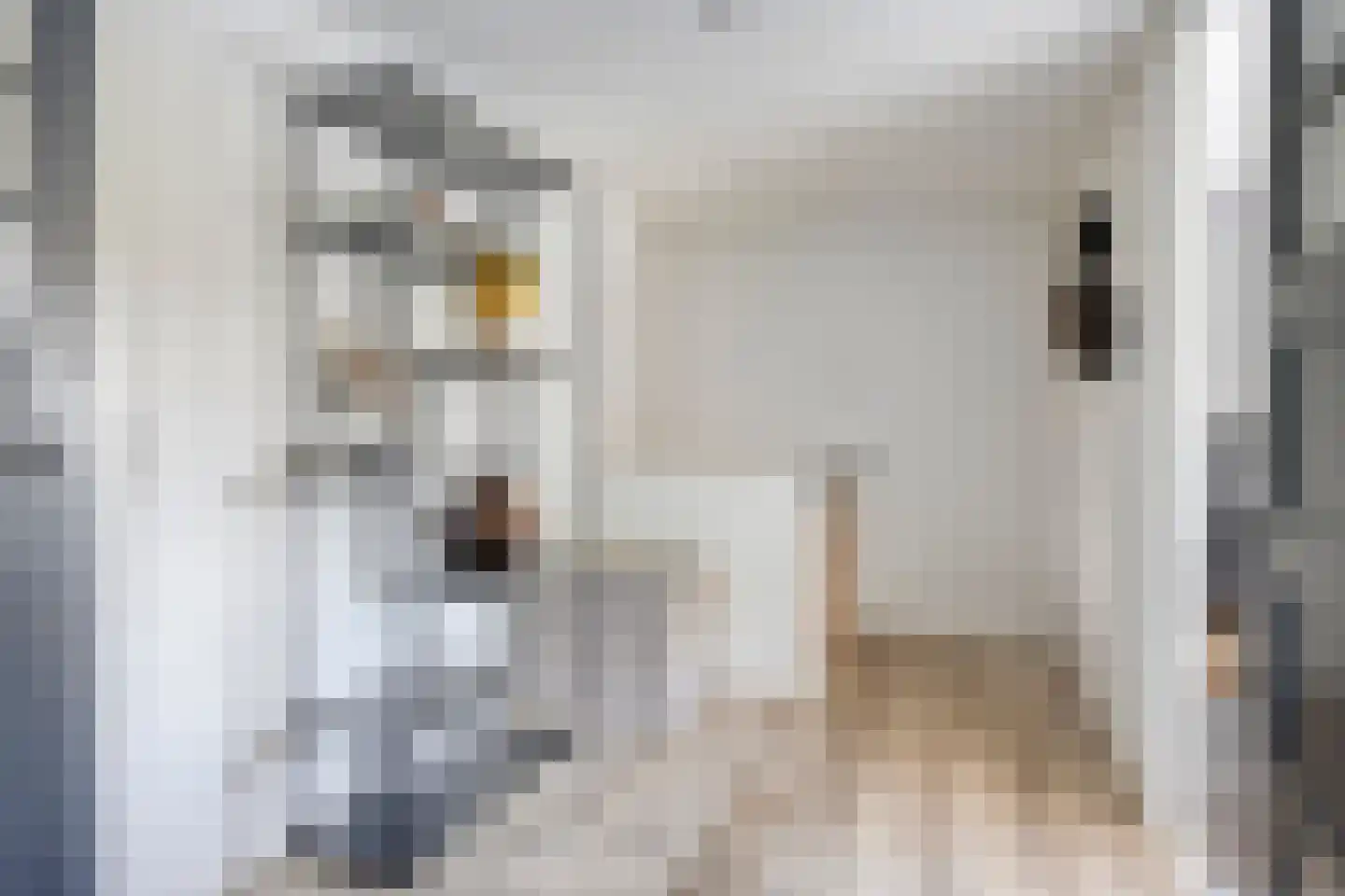 Goejanverwelle 24 Hekendorp thumbnail 24