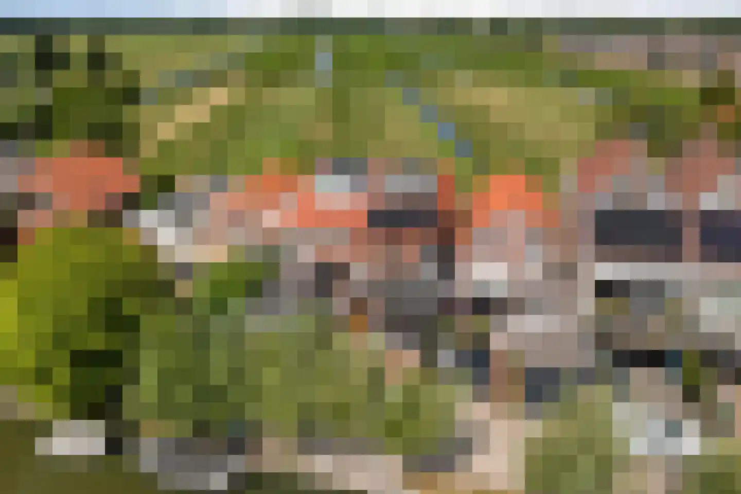 Goejanverwelle 24 Hekendorp thumbnail 43