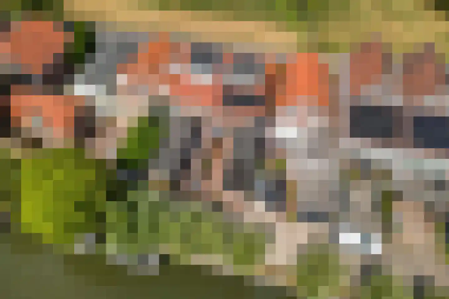 Goejanverwelle 24 Hekendorp thumbnail 44