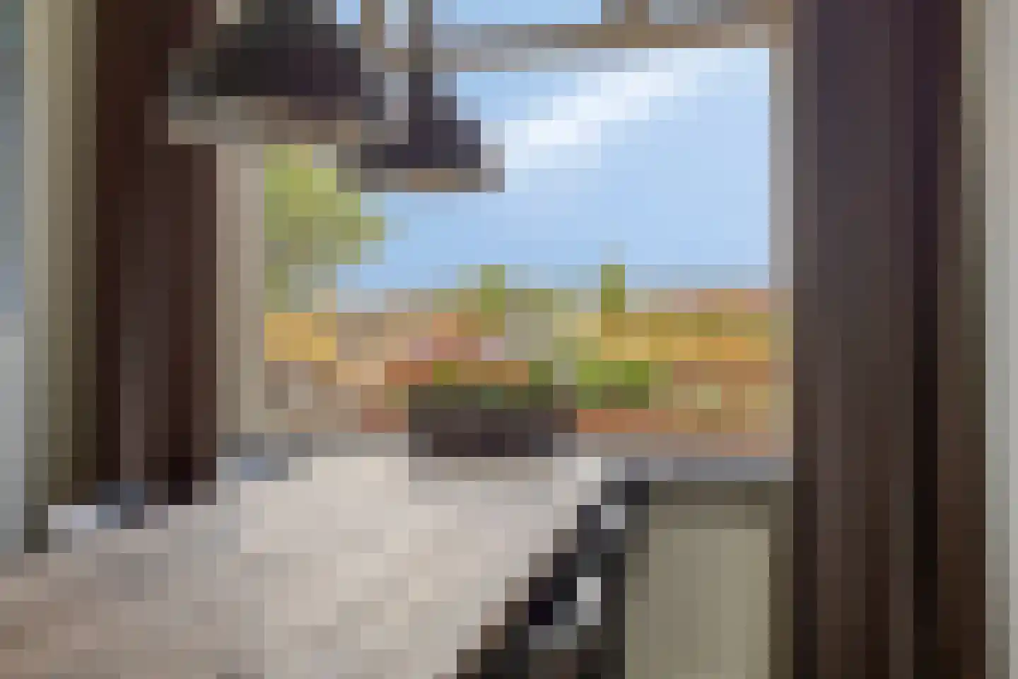Goejanverwelle 24 Hekendorp thumbnail 8