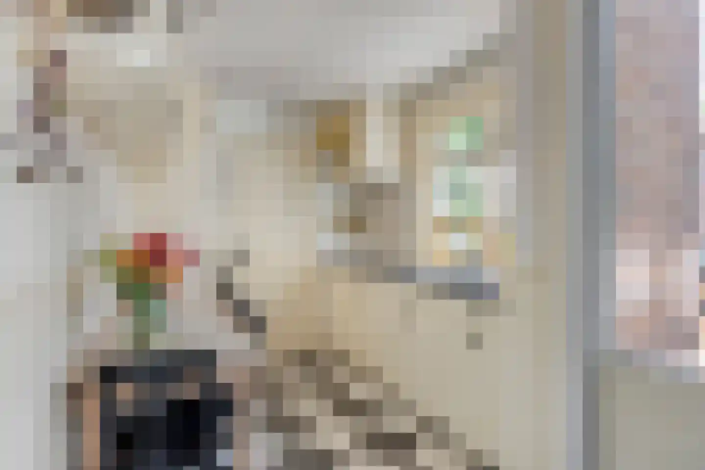 Goejanverwelle 24 Hekendorp thumbnail 9