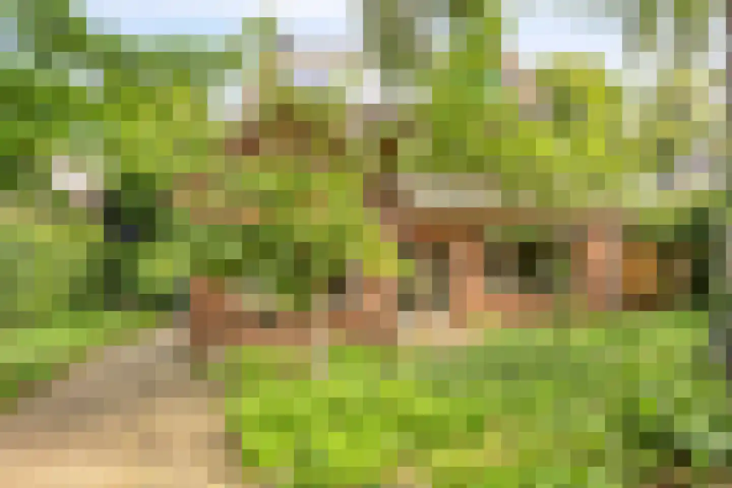 Goejanverwelle 38 in Hekendorp