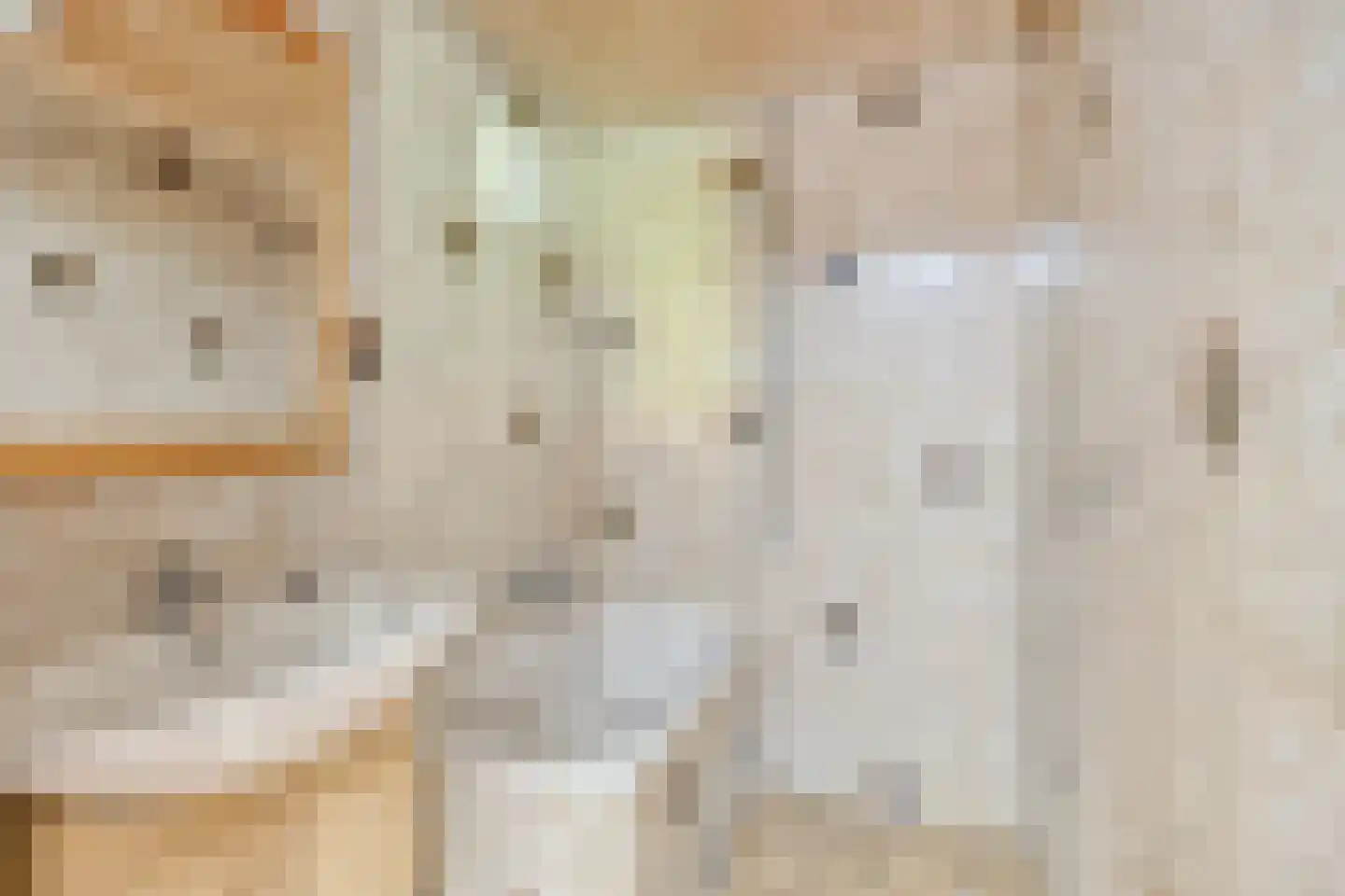 Goejanverwelle 38 Hekendorp thumbnail 21