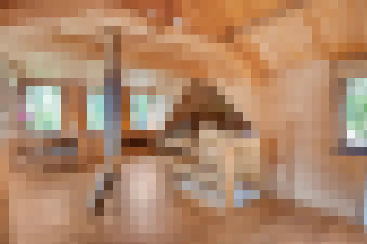 Goejanverwelle 38 Hekendorp thumbnail 25