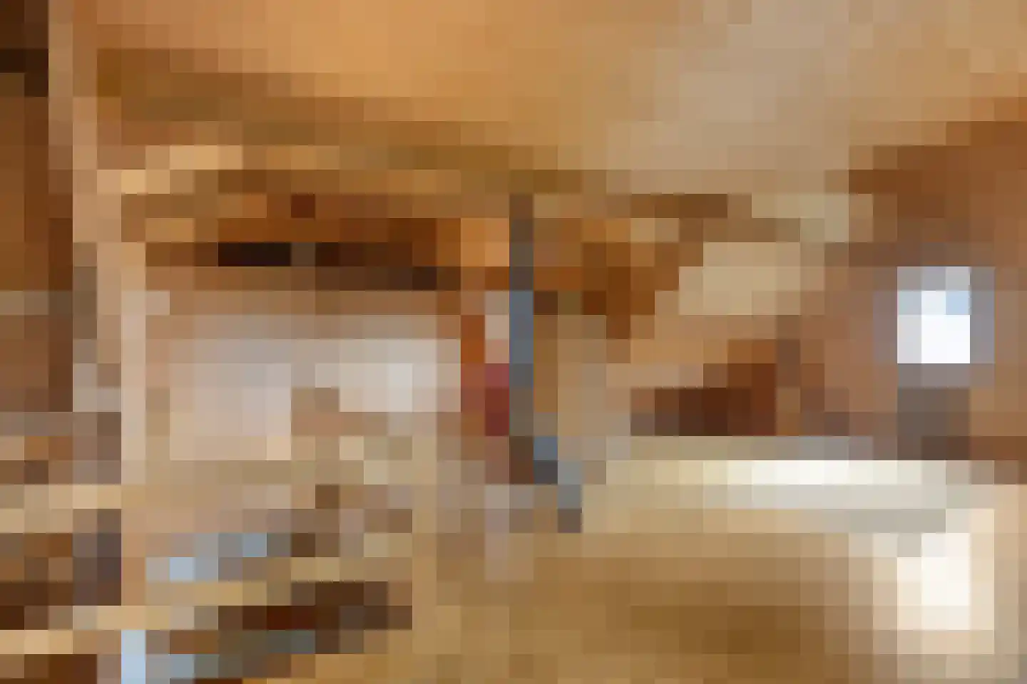 Goejanverwelle 38 Hekendorp thumbnail 30