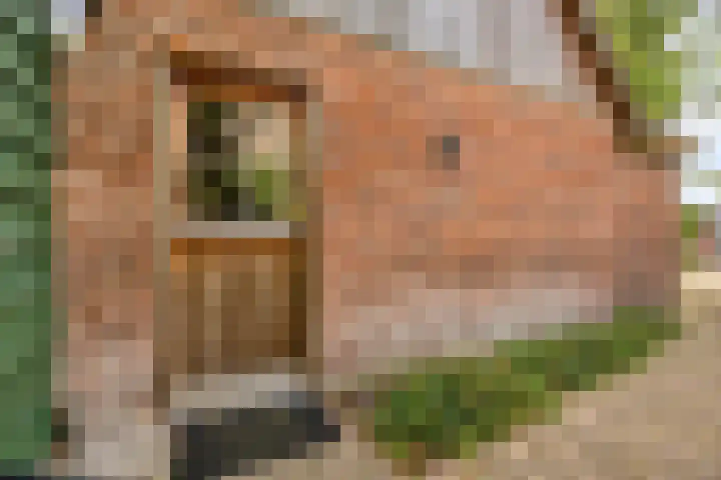 Goejanverwelle 38 Hekendorp thumbnail 31