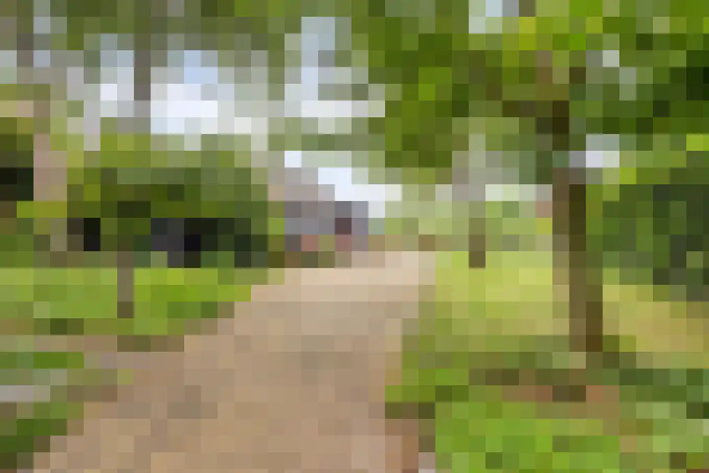 Goejanverwelle 38 Hekendorp thumbnail 33