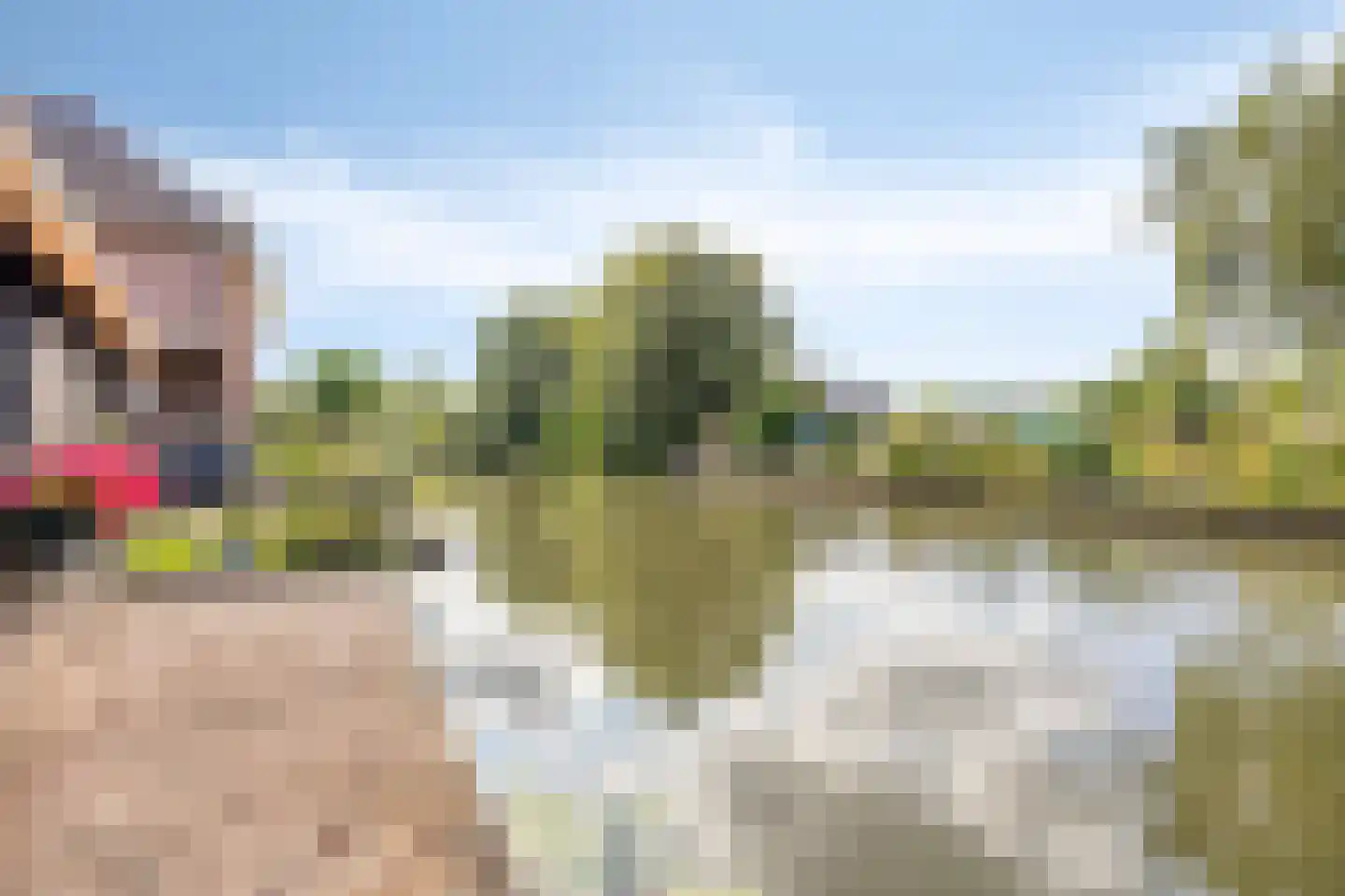 Goejanverwelle 38 Hekendorp thumbnail 4
