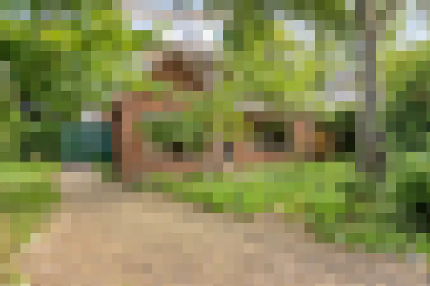 Goejanverwelle 38 Hekendorp thumbnail 43