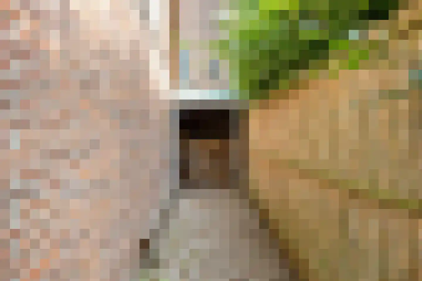 Goejanverwelle 38 Hekendorp thumbnail 44