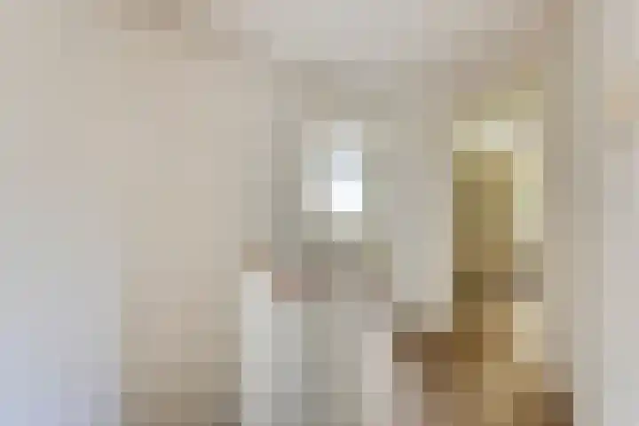 Goejanverwelle 44 Hekendorp thumbnail 12