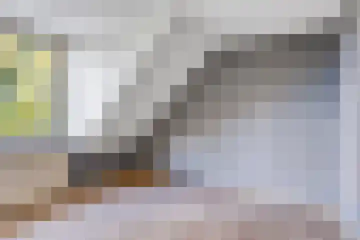Goejanverwelle 44 Hekendorp thumbnail 16