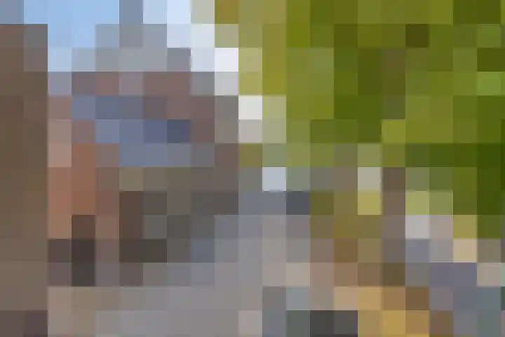 Goejanverwelle 44 Hekendorp thumbnail 23