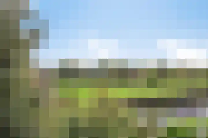 Goejanverwelle 44 Hekendorp thumbnail 6