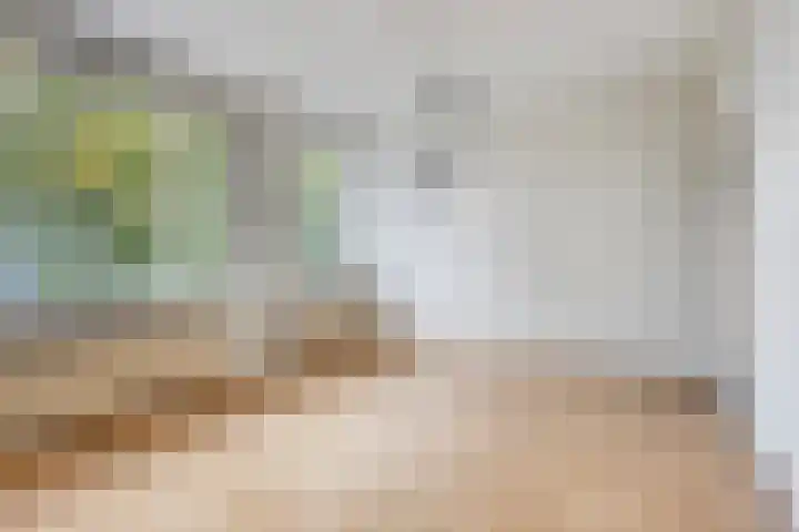 Goejanverwelle 44 Hekendorp thumbnail 9