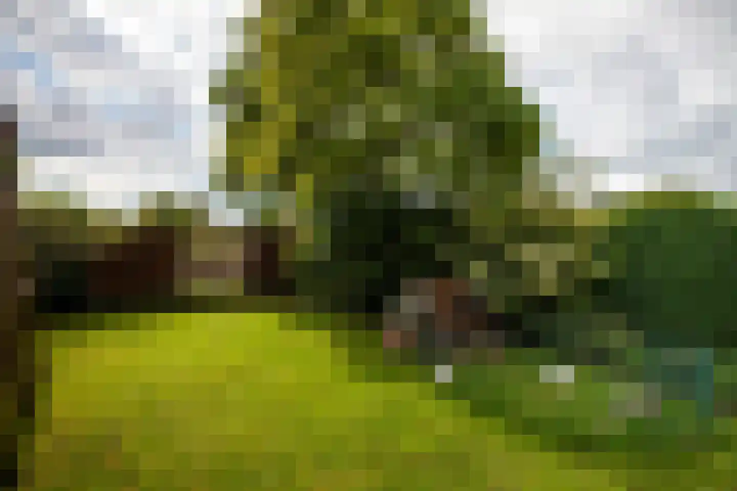 Goejanverwelle 80 Hekendorp thumbnail 32