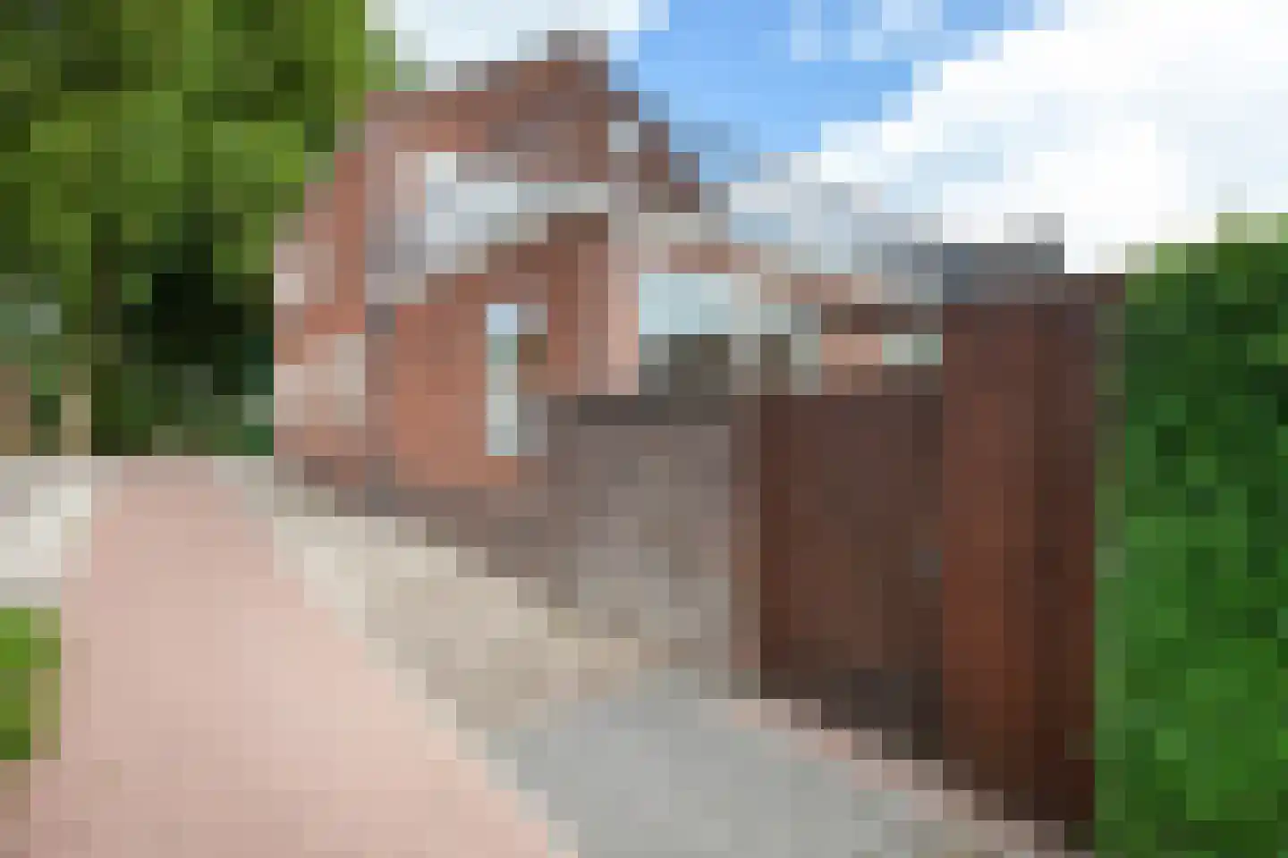 Goejanverwelle 80 Hekendorp thumbnail 5