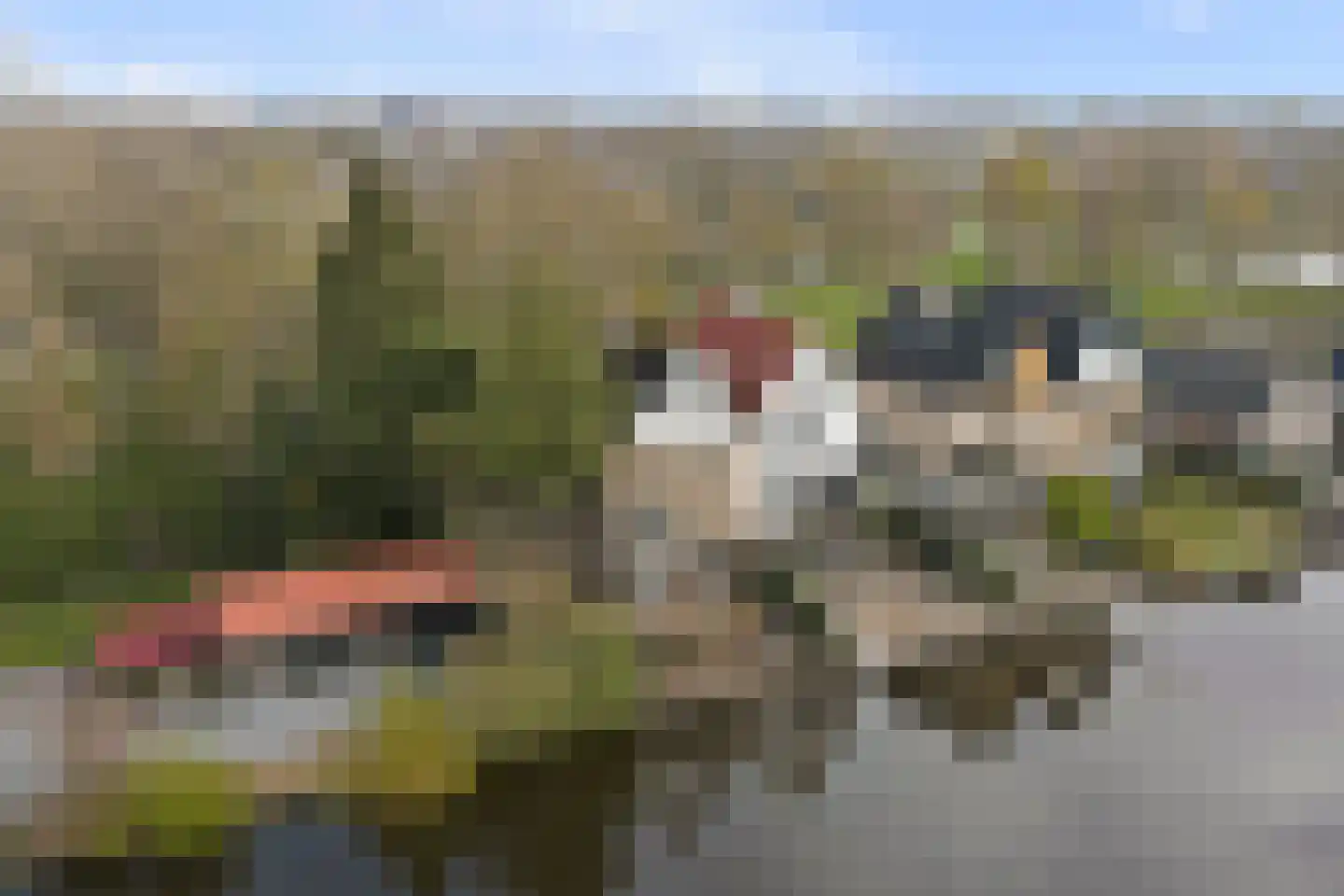 Goejanverwelledijk 20 a in Gouda