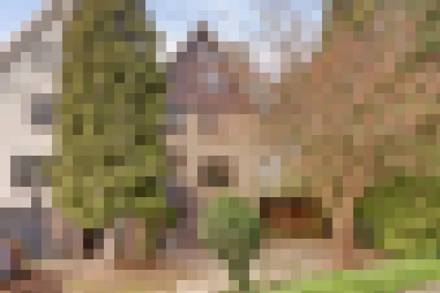 Goejanverwelledijk 20 a Gouda thumbnail 5