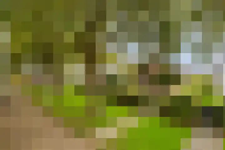 Goeman Borgesiuslaan 1 in Zwolle