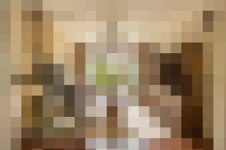 Goeman Borgesiuslaan 1 Groningen thumbnail 12