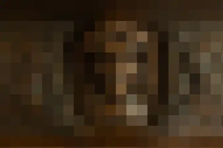 Goeman Borgesiuslaan 1 Groningen thumbnail 14